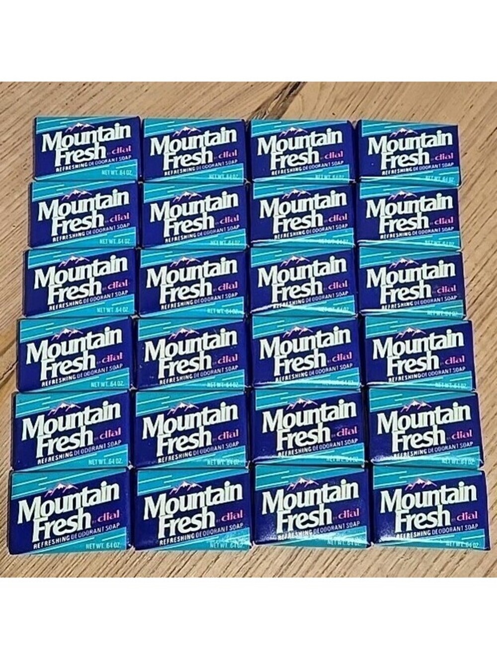 24 Bars Dial Deodorant Soap Hotel & Travel Size Mountain Fresh .64 oz ea New